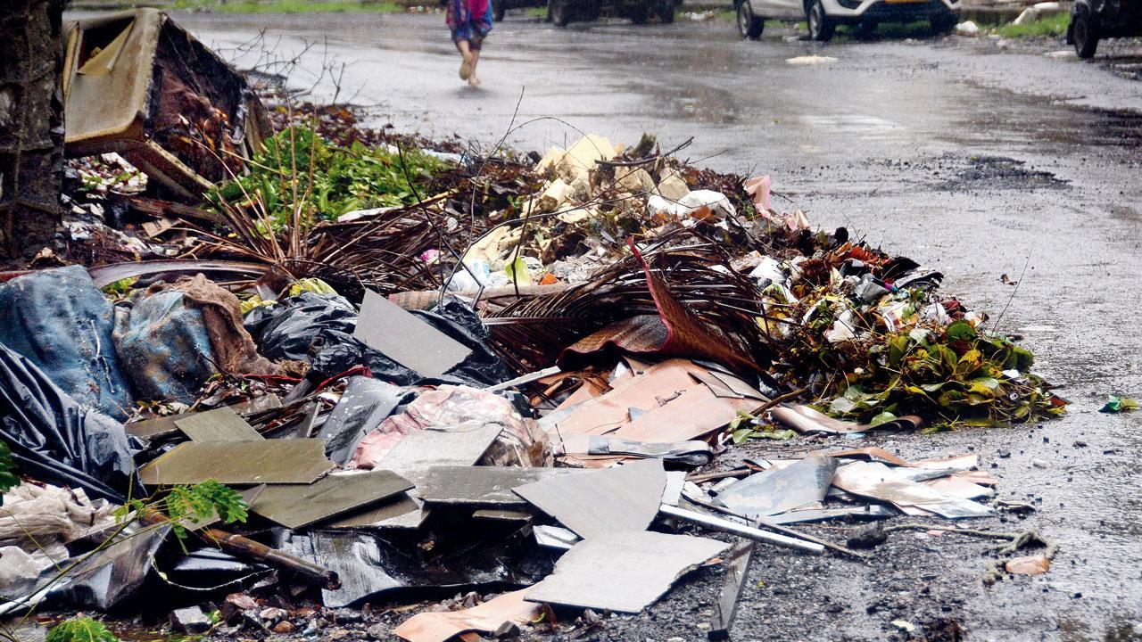 Mumbai: ‘Plenty of trash, but resources limited’