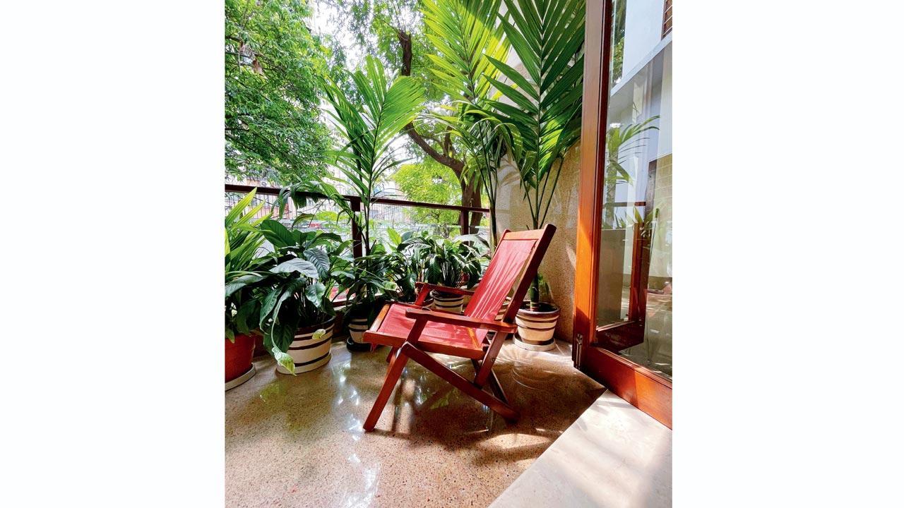 Mumbai gardeners share easy hacks to setup a mini urban garden