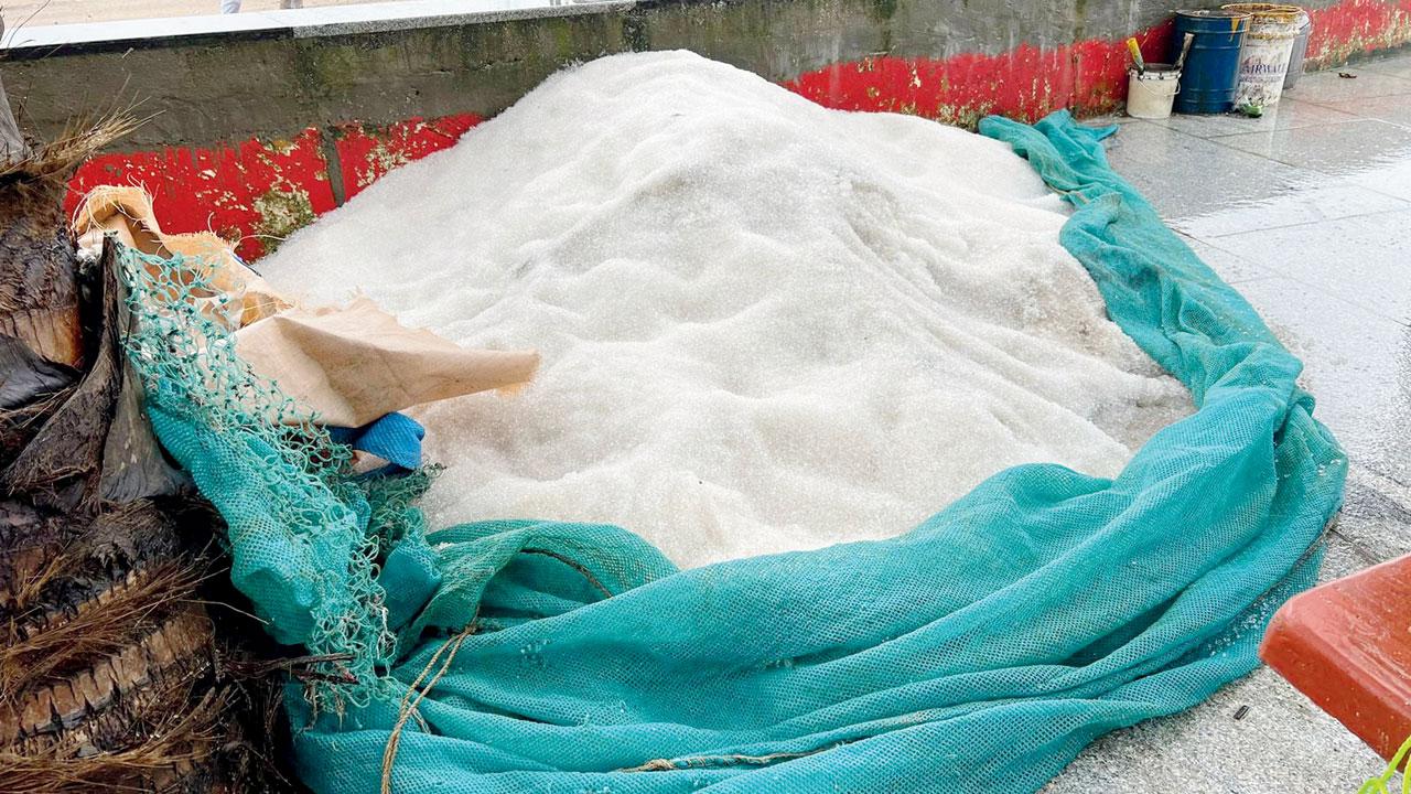 Initially, the authorities believed the washed-up items at Aksa beach might be jellies or salp