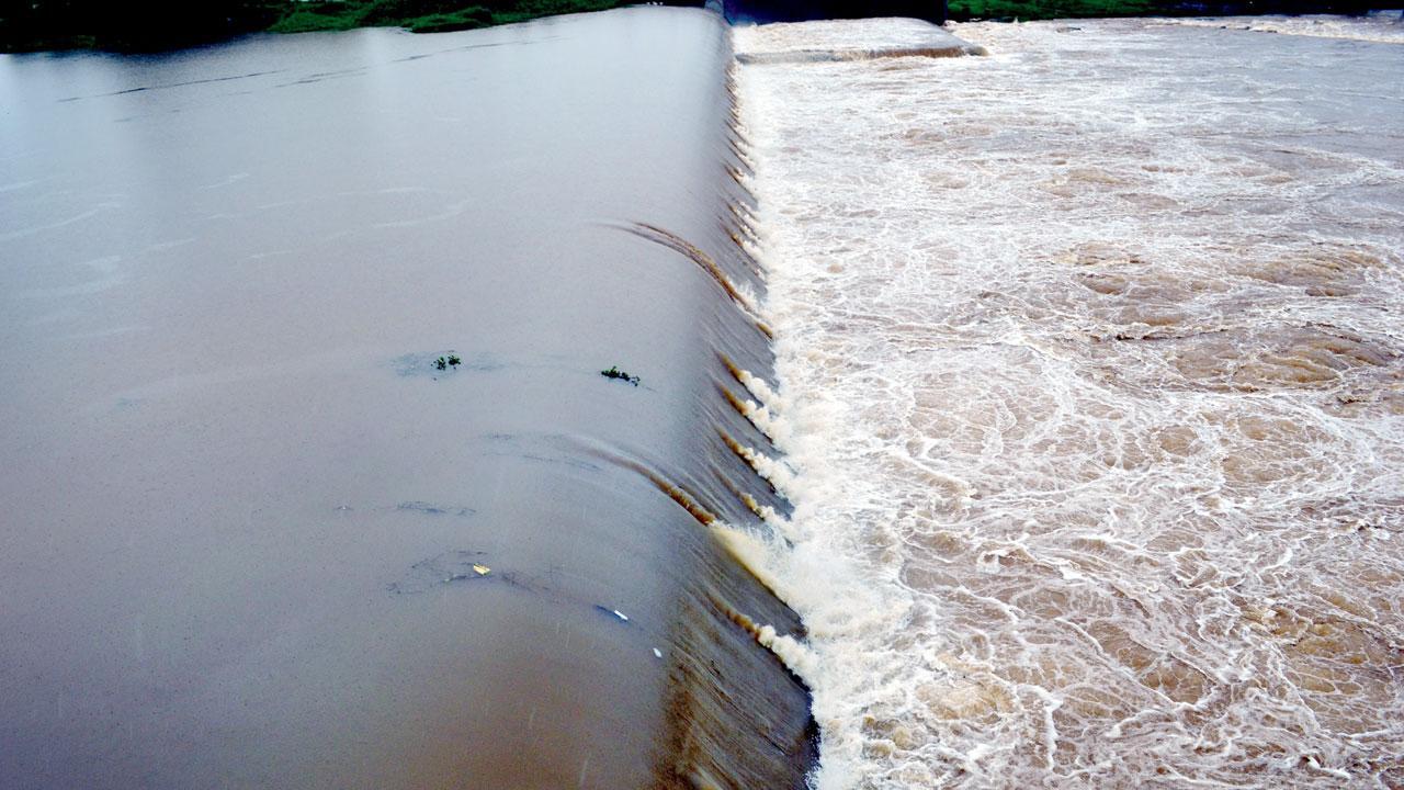 Mumbai: Rainfall races ahead, but city lake levels lag