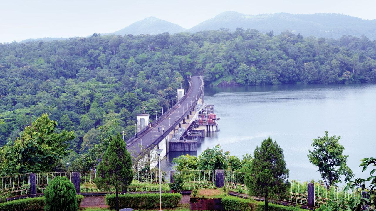 Mumbai: Lake levels double within a week of rain