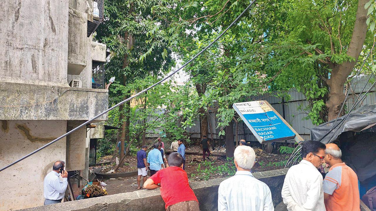 Mumbai: Tree-fall kills 70-year-old woman at Malad, two injured