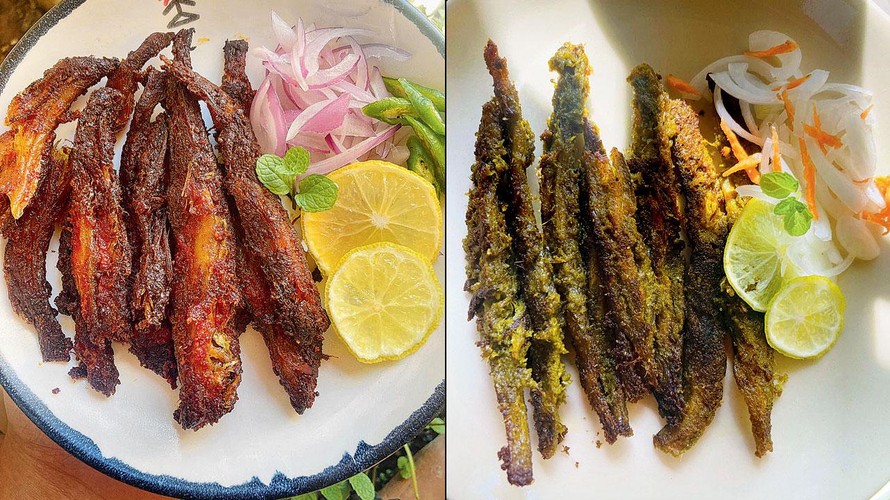 Masala bombil and Green masala bombil