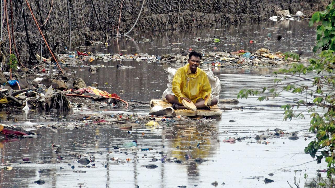 Mumbai: Viral is now passe, leptospirosis is back to haunt you this monsoon