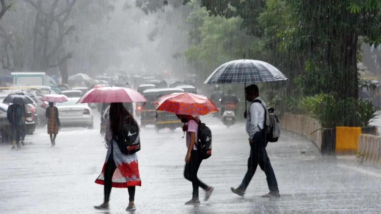 Looking for affordable raincoats to buy this monsoon? Try these places in Mumbai