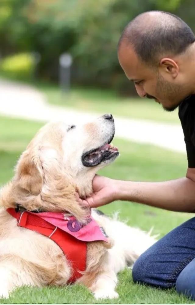 Common signs of dehydration in pets
