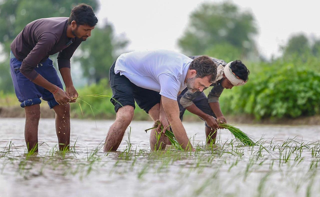 He also took part in paddy sowing, drove a tractor and ate food brought by women labourers working in the fields, party leaders from the state said