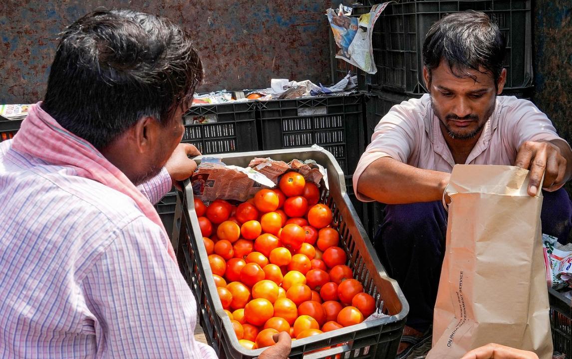 Maharashtra: Farmer loses 400 kg of tomatoes to theft