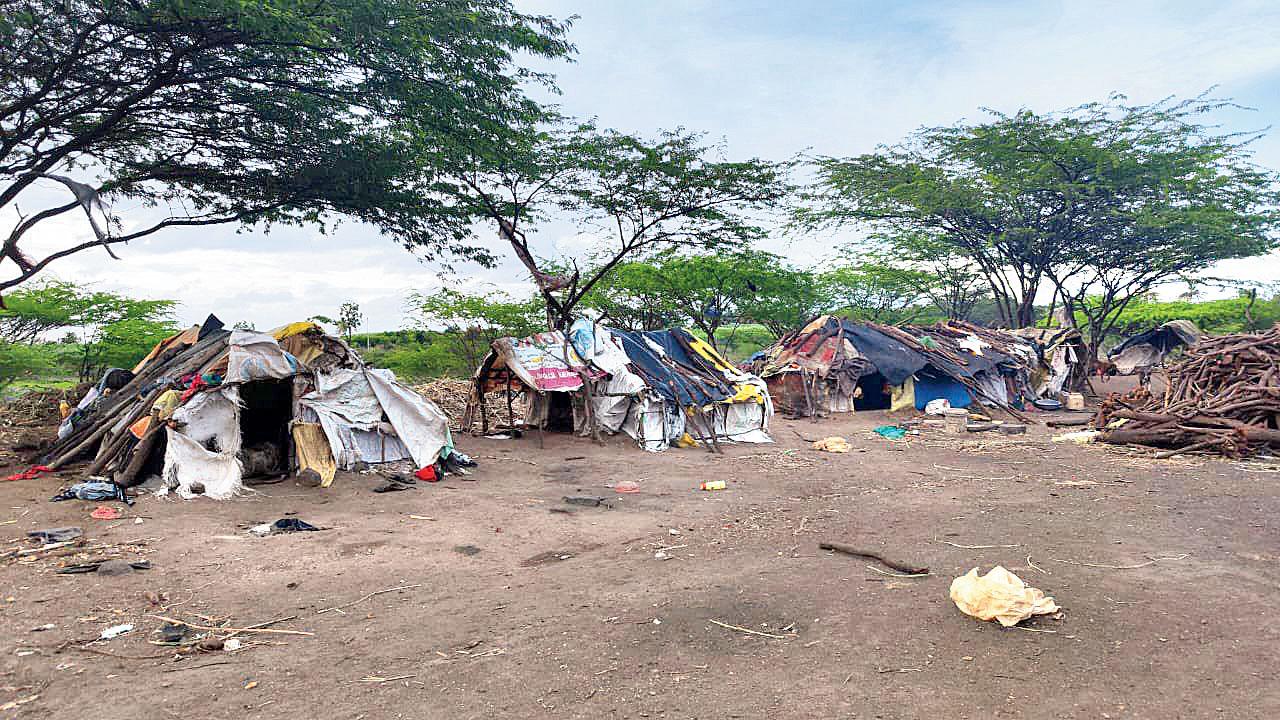 The shanties (left, above) that the labourers live in. Pics/Hanif Patel