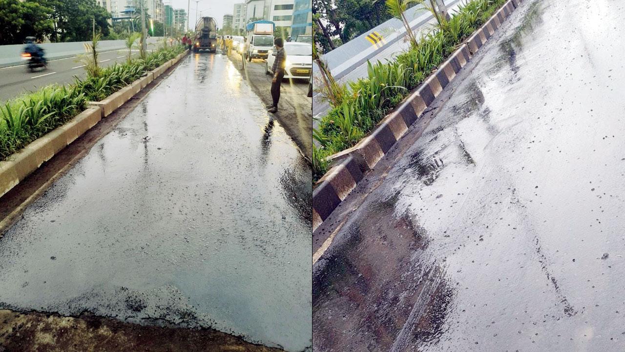 Mumbai: Contractor gets notice, starts repairing SCLR extension bridge