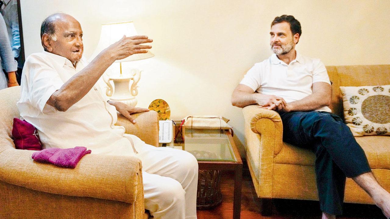NCP chief Sharad Pawar speaks with Congress leader Rahul Gandhi at the former’s official residence, at 6, Janpath, in New Delhi, on Thursday. Pic/PTI