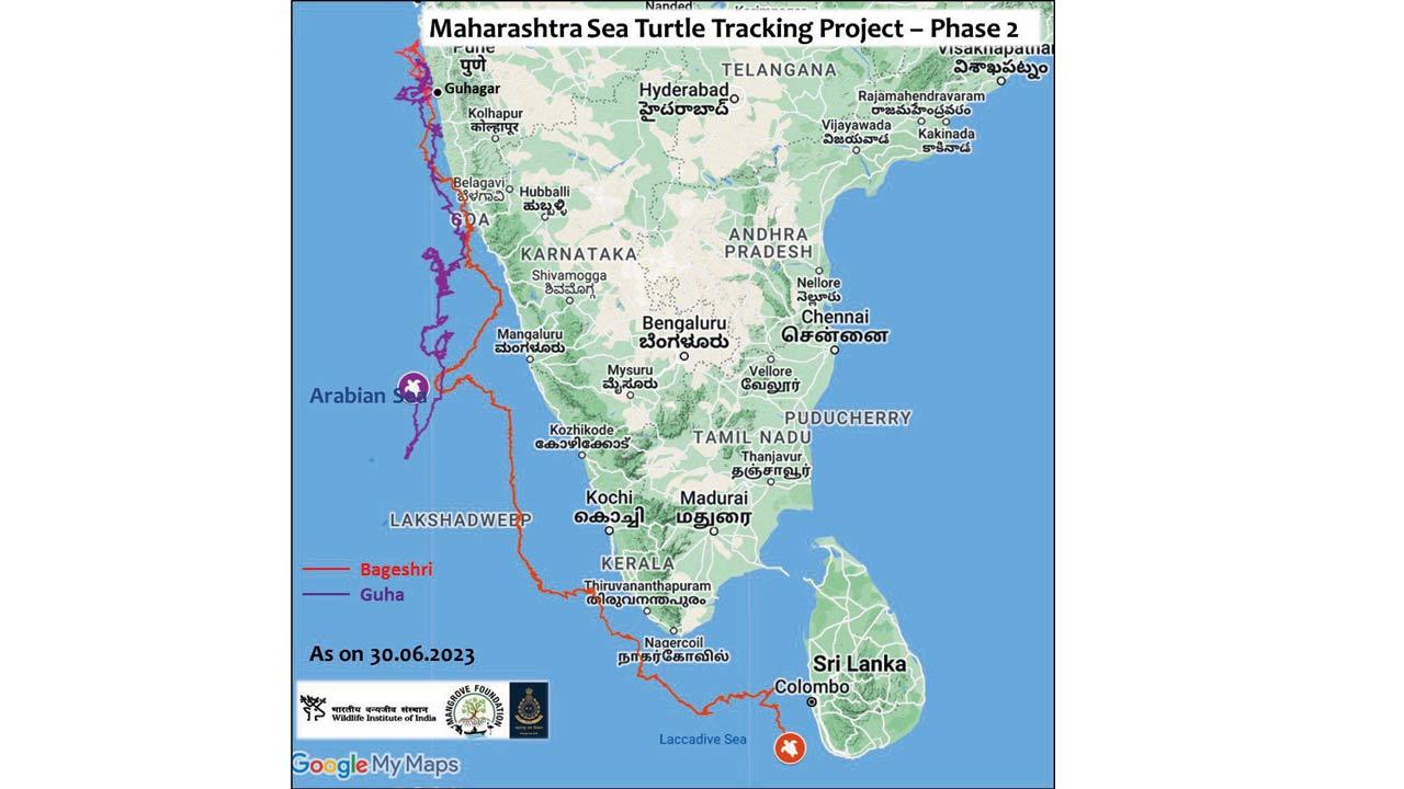 The turtle Bageshri’s journey upto June 30