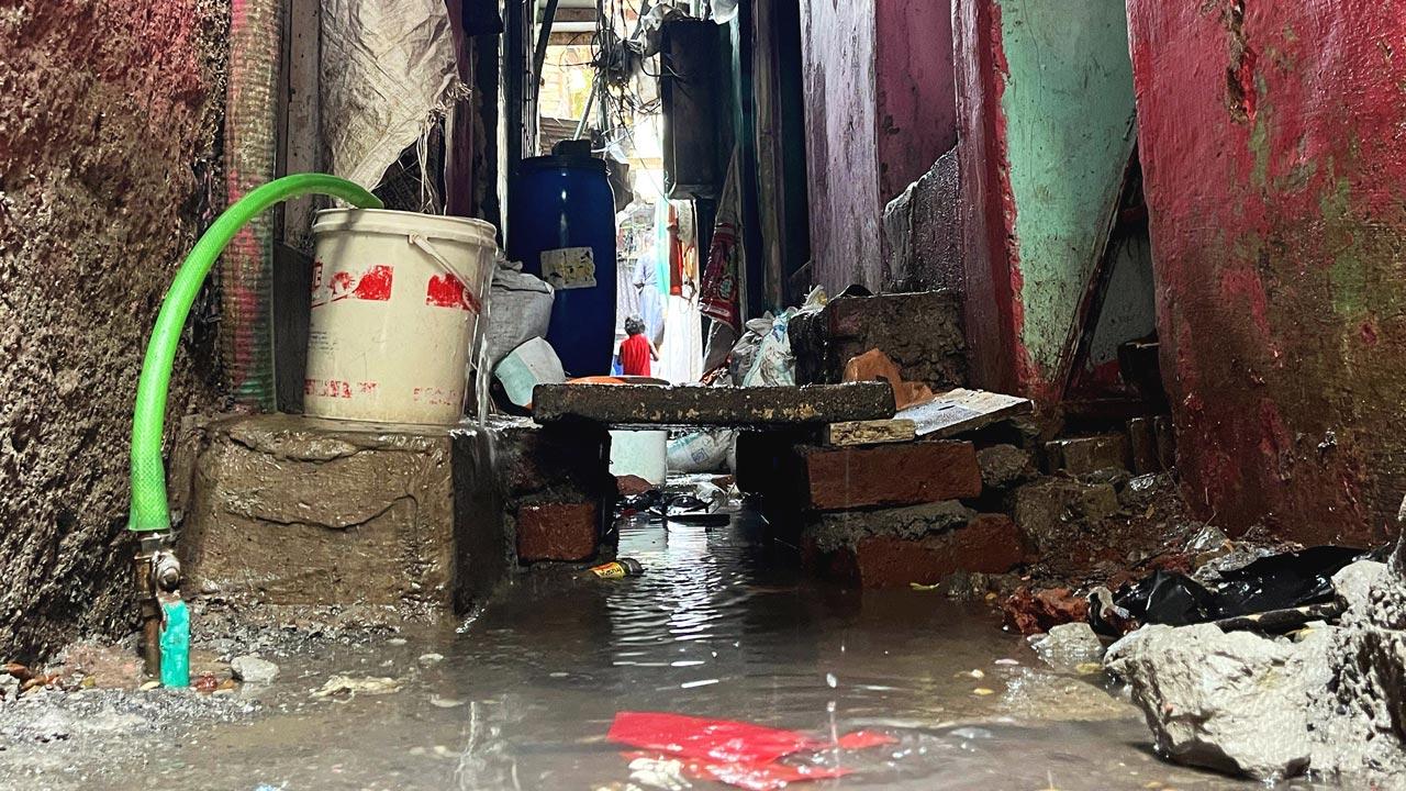 Sai Garden Chawl opposite Dharavi bus depot, which is plagued by flooding and sanitation issues. Pics/Rian Khorana