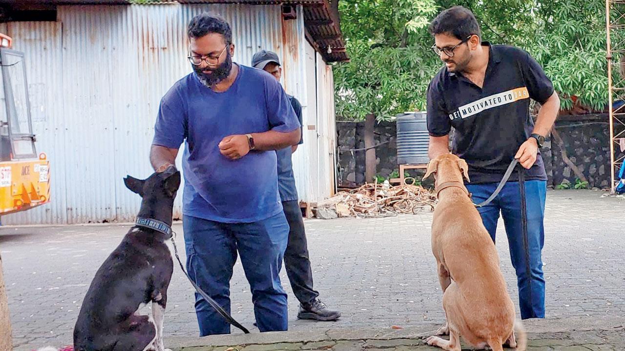 Calvin Godinho and Rohan Kulkarni with Milo and Frodo