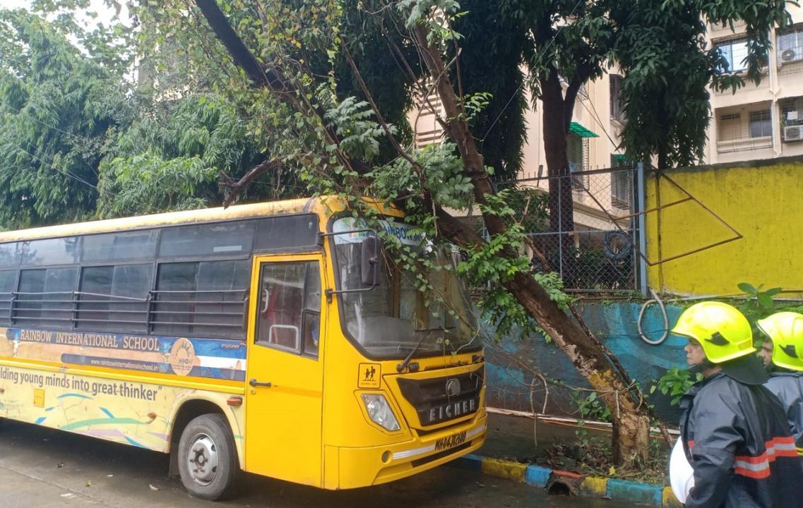 Tree falls on bus in Thane, no injuries reported