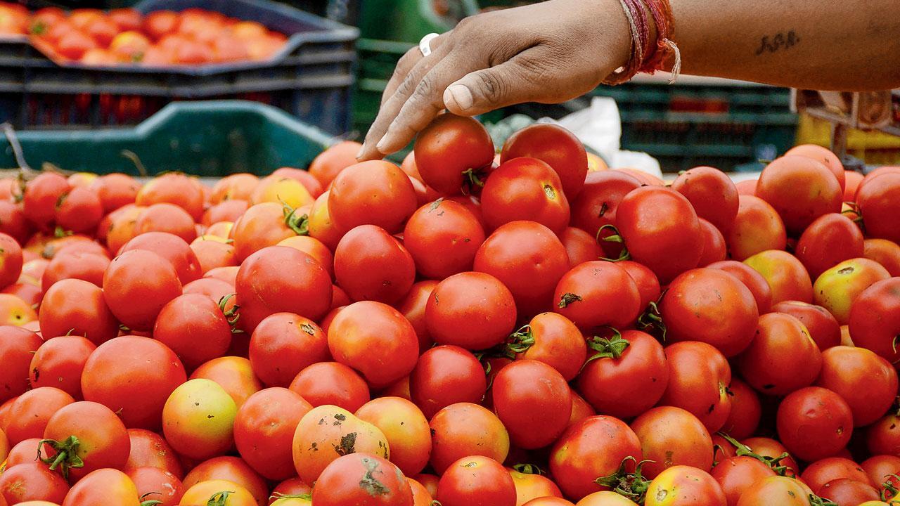 After theft, farmers in Karnataka forced to guard tomatoes