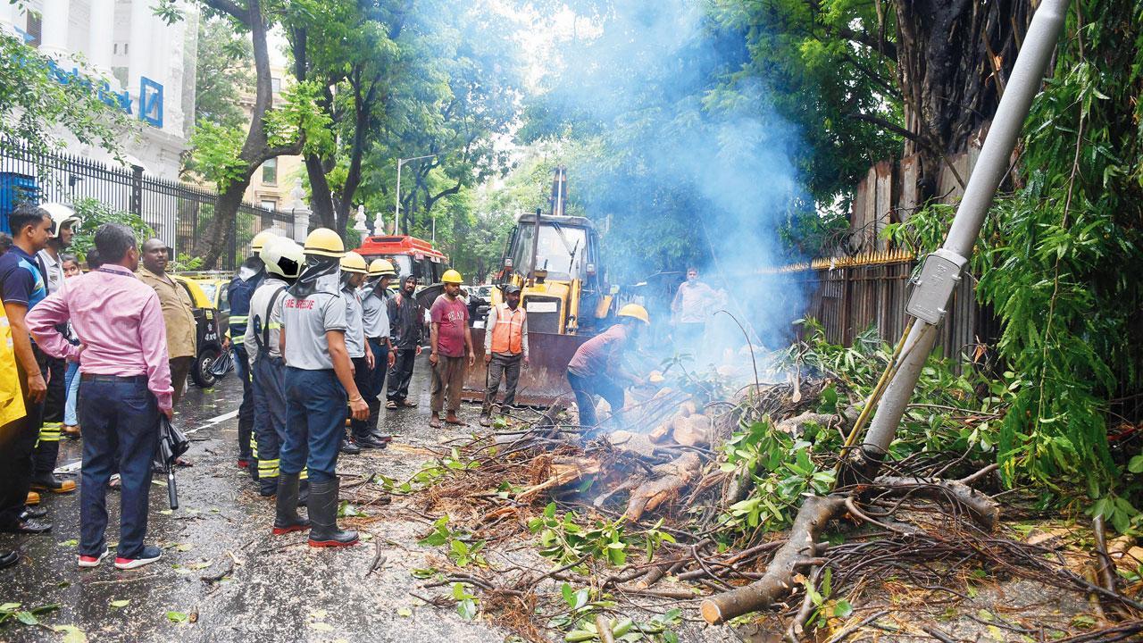 Rain turns city into disaster zone