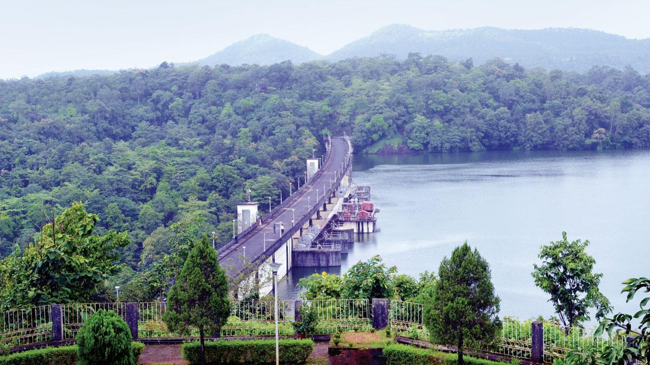 Mumbai: Water stock in lakes rising slowly and steadily