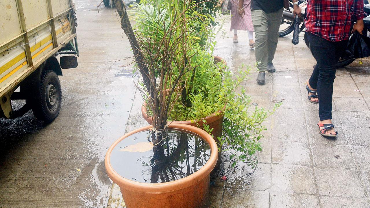 Rainwater accumulates in pots as the soil hardens, along Andheri-Chakala Road, at Chakala in Andheri East, on Tuesday. Pics/Sayyed Sameer Abedi
