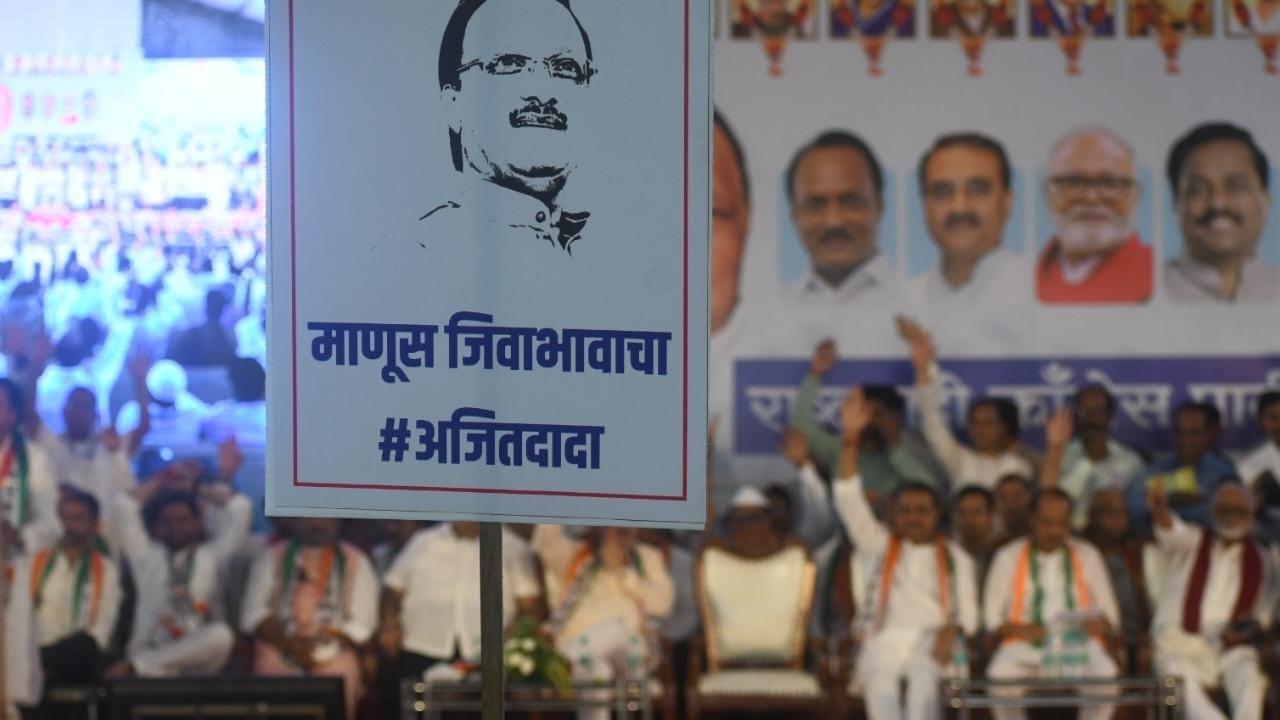 For us, Saheb (Sharad Pawar) is a deity and we have deep respect for him, he said