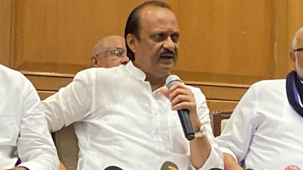 Ajit Pawar, who took oath as the deputy chief minister of Maharashtra, on Sunday said his party decided to become part of the Eknath Shinde government for the development of the country, and praised Prime Minister Narendra Modi's leadership