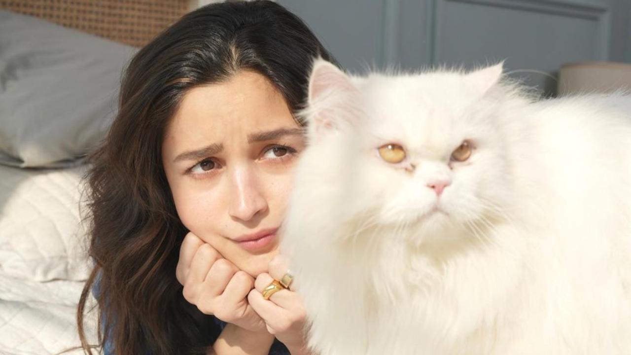 Alongside her sister Shaheen, actress Alia Bhatt is the proud owner of two cats, Sheeba and Pikka. On her 24th birthday, Alia added to their furry family by bringing home a third kitten, whom she named Edward Bhatt. In this picture, we can see the two share an adorable bond and the love in cat-mom Alia's eyes for Edward. 