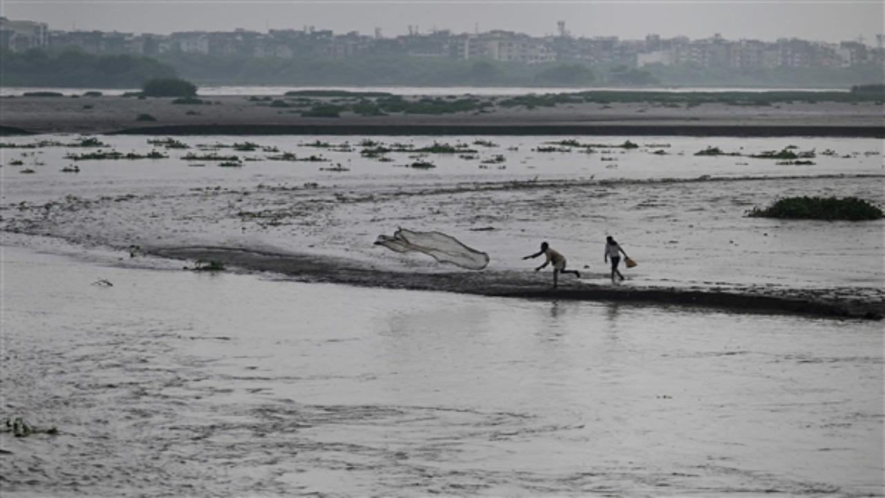 The Monastery market is one of the many places that have been affected due to the Yamuna river swelling to a record high. The water level in the river rose to 207.71 metres in Delhi at 4 pm on Wednesday, breaching its all-time record of 207.49 metres set in 1978, government agencies said.