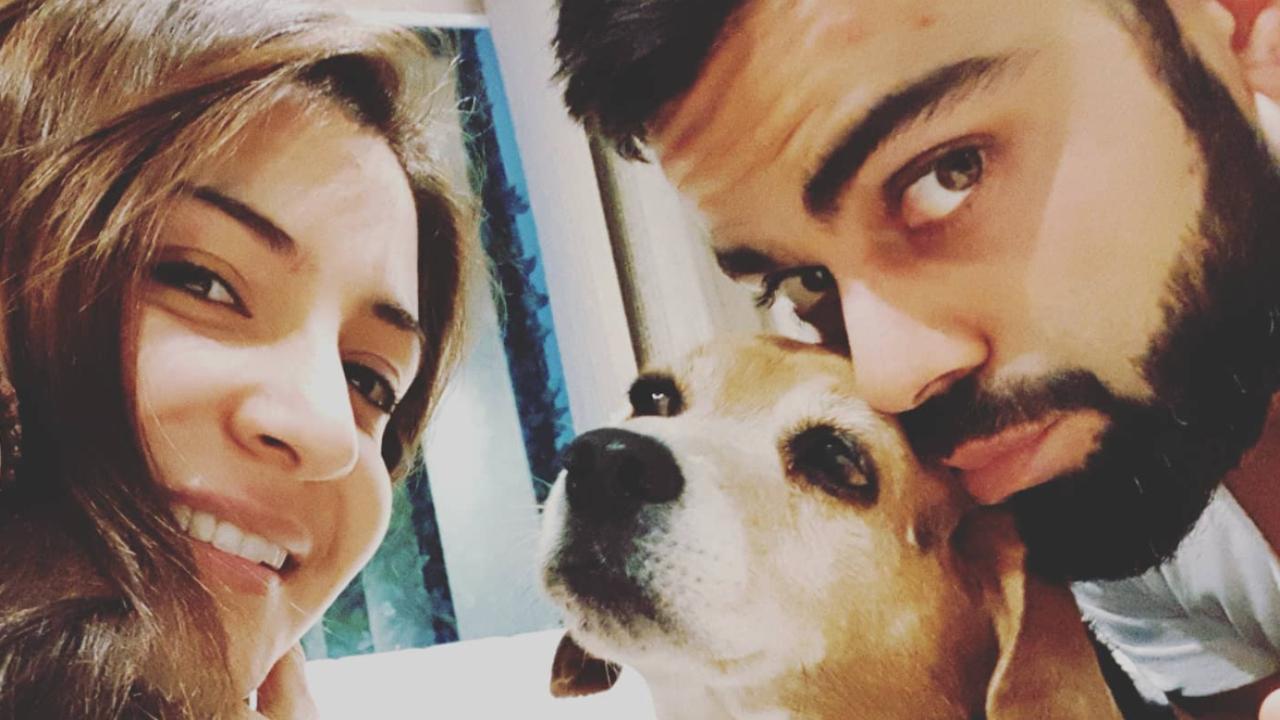 In 2020, Anushka Sharma and Virat Kohli faced the loss of their pet dog, Bruno, which they shared with their followers on social media. Anushka uploaded an Instagram picture capturing her, Virat, and their beloved pooch, striking a pose, commemorating the cherished memories they had together.