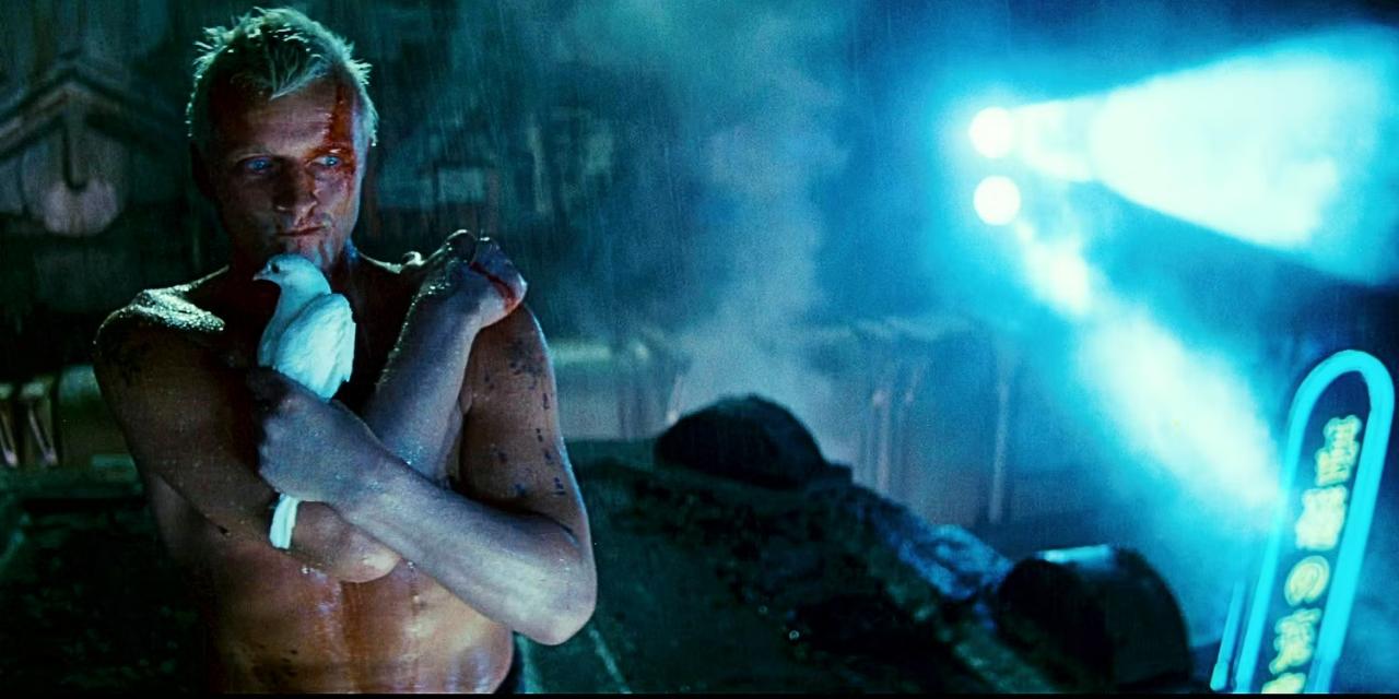 Blade Runner
In the climactic final scene of Blade Runner, Deckard (Harrison Ford) confronts Roy Batty (Rutger Hauer) on a rain-soaked rooftop. This iconic moment, drenched in rain, has become synonymous with the film and remains a standout in the memories of viewers. And who can forget this line from Batty's iconic monologue 'All those moments will be lost in time...like tears in rain'? And to think this was improvised by the actor!