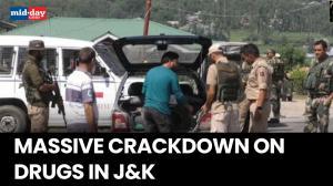 Baramulla Drugs Crackdown: J&K Police launches major crackdown on Narco terror