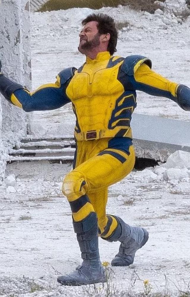 In the pictures, Ryan and Hugh as Deadpool and Wolverine are seen in combat in the snow
