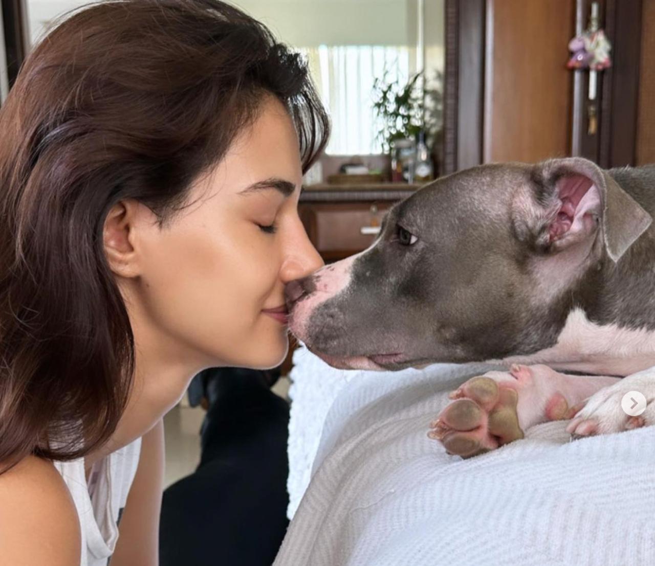 In addition to being an outstanding dancer and a remarkable fashion icon, the stunning Disha Patani takes pride in being the loving owner of five furry companions — two cats and three dogs. Among this furry family, the most recent addition is Chi Chi, who Disha is seen having fun with in this picture. 
