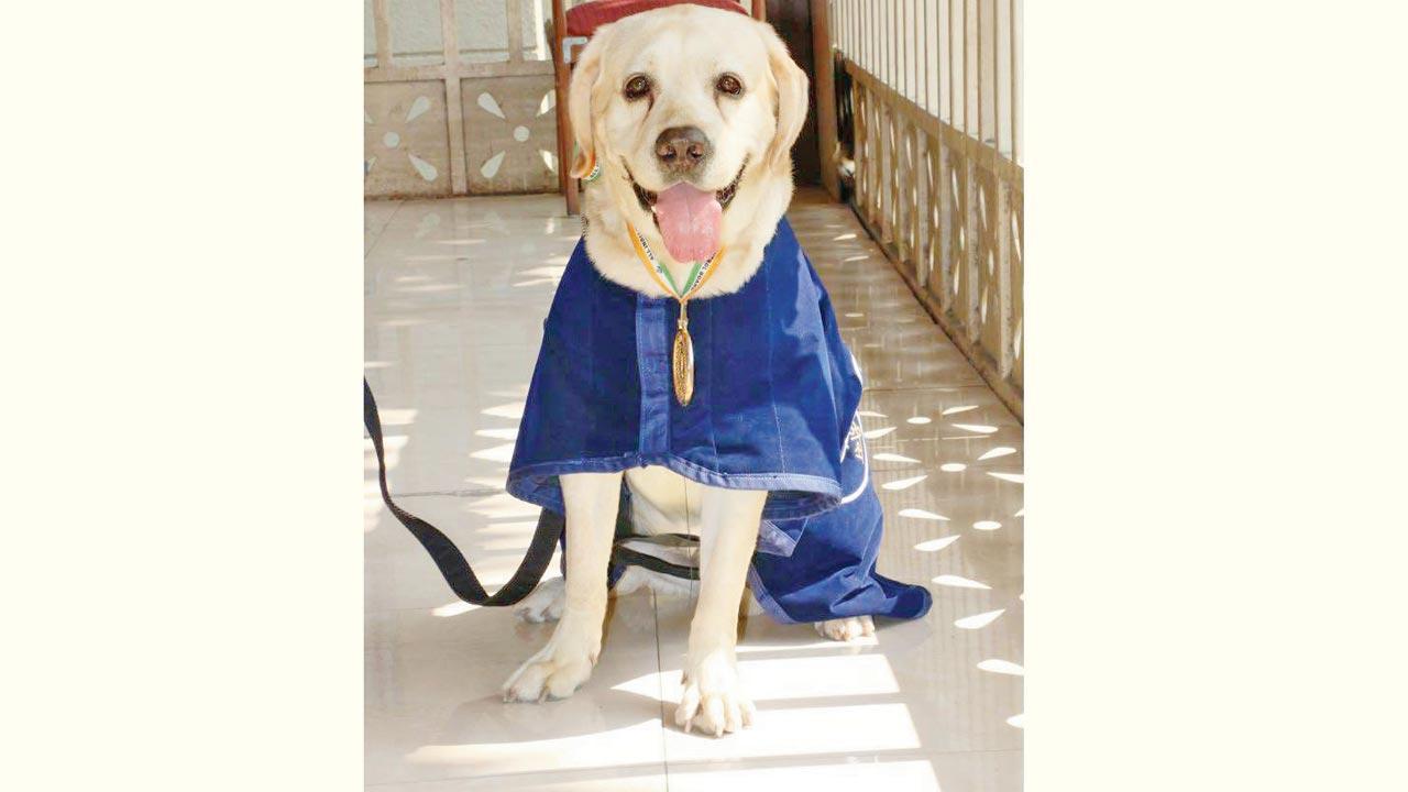 Mumbai: Gold medallist police dog Max bids final adieu