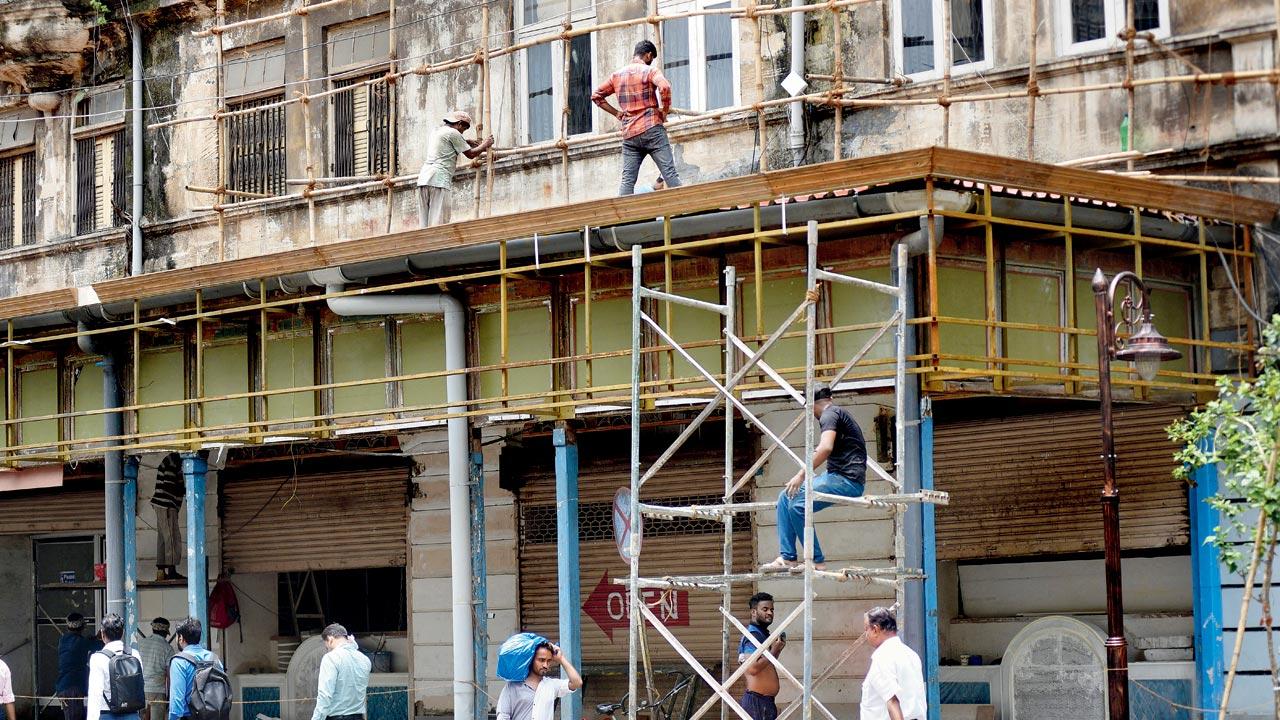 Bamboos cover the entrance and rest of the building that houses Parsi Dairy Farm, with the renovation in full swing