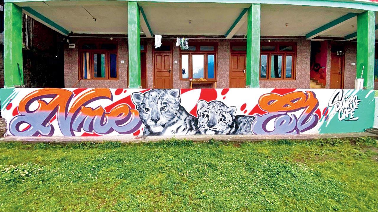 The murals on the walls of the homestay