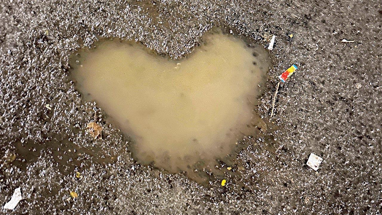 Puddle love