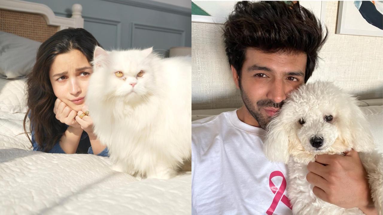 Alia Bhatt and her cat (left) and Kartik Aaryan and his dog (right)