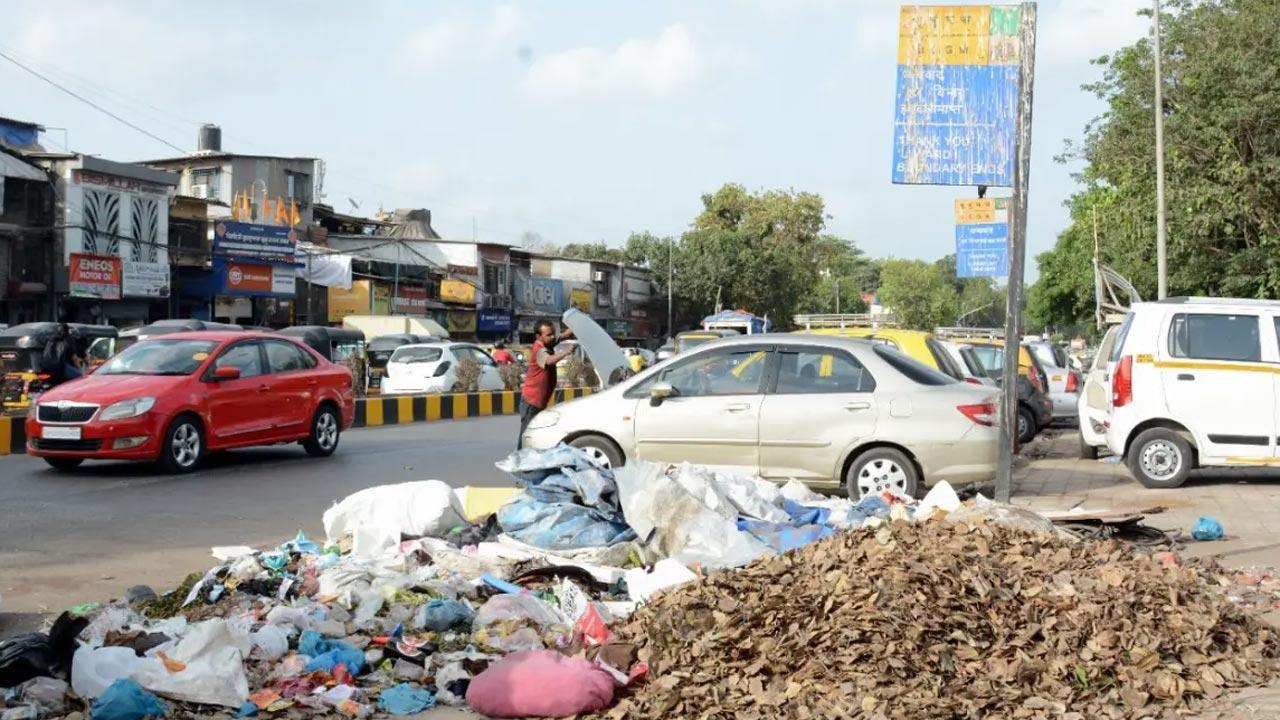 Citizens need to do their bit for a garbage-free city