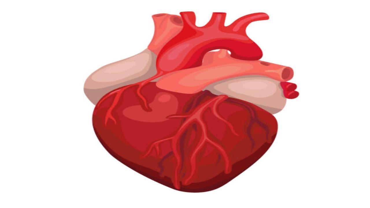 Maharashtra: Human heart flown from Nagpur to Pune for transplant into air warrior