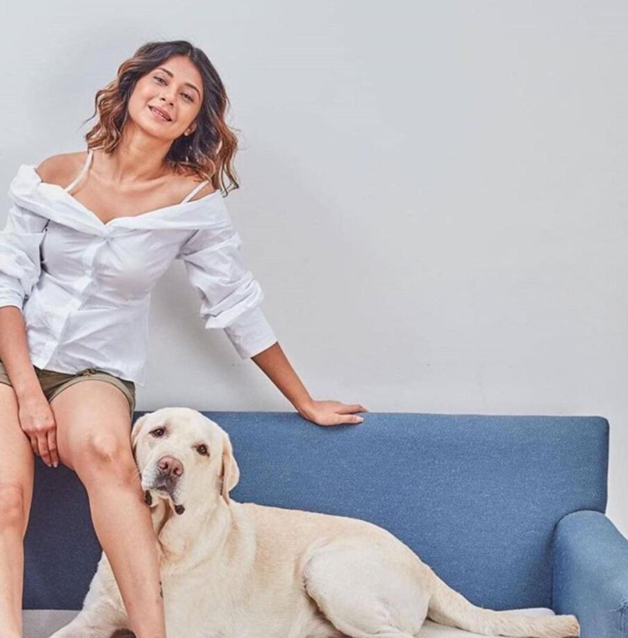 Jennifer Winget 
Jennifer Winget adored her Labrador companion, affectionately named Breezer. Her social media is adorned with a delightful collection of pictures showcasing her furry friend snuggled up beside her, playing joyfully, partaking in Christmas and birthday celebrations, and occasionally even joining her on set