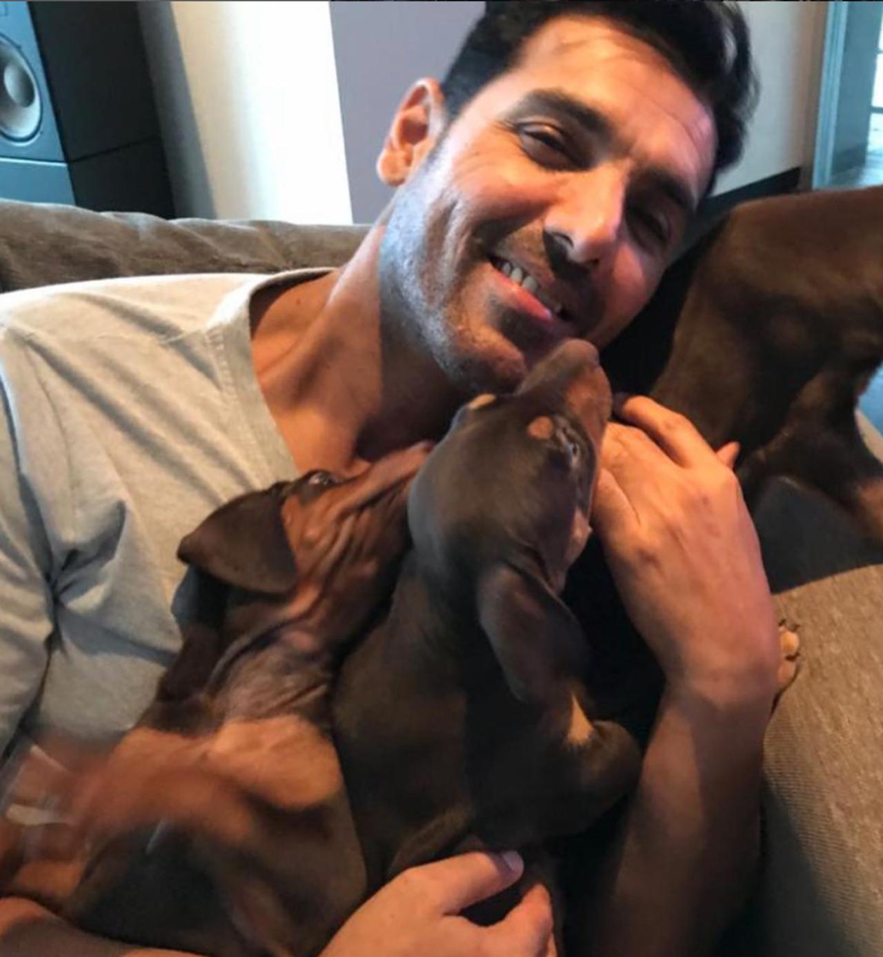 John Abraham and his wife Priya Runchal share a deep passion for dogs and take pride in being the loving parents of two gorgeous canines named Sia and Bailey. Frequently seen enjoying quality moments with their furry companions, the couple wholeheartedly cares for their pets.