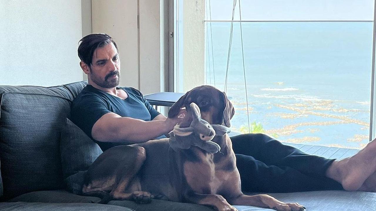 John Abraham adopted a pup rescued from the streets by an animal adoption agency and named her Bailey. She and her sibling Sia have an Instagram account of their own.