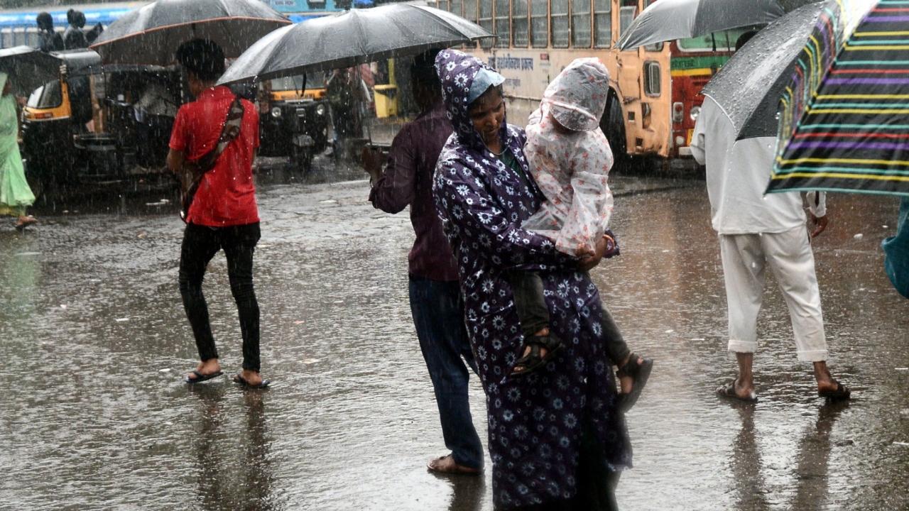 IMD has also issued a yellow alert for Mumbai's neighbouring Thane and Raigad districts, along with Palghar district
 