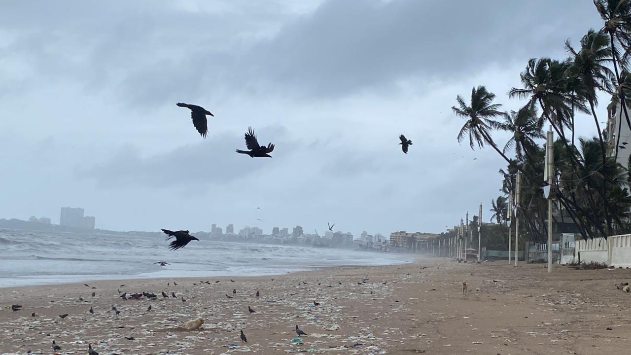 Juhu beach closed for public due to drowning cases rise near the sea shores during monsoon in Mumbai (Pic/Shadab Khan)