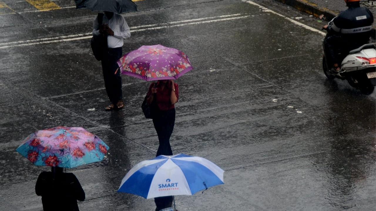 Mahabaleshwar, Satara's famous hill station, recorded 315 mm of rainfall in the 24 hours ending on July 20, 8.30 am. Meanwhile, Dahanu recorded 305 mm of rainfall during the same period
 