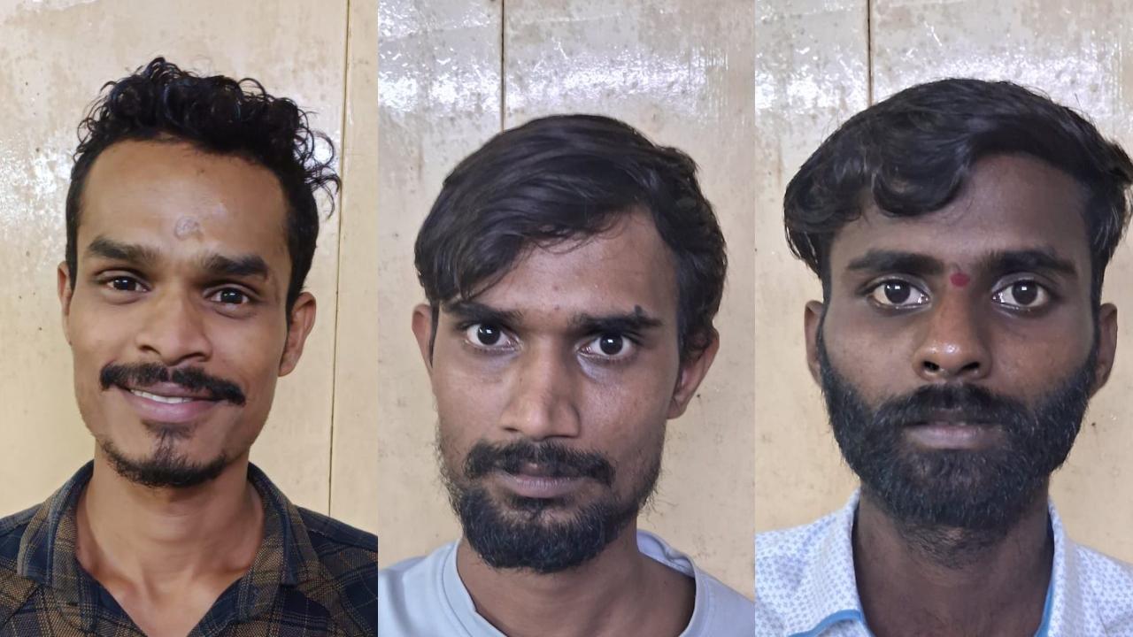 Mumbai Crime: Three arrested for trying to sell horns of sambar deer in Andheri