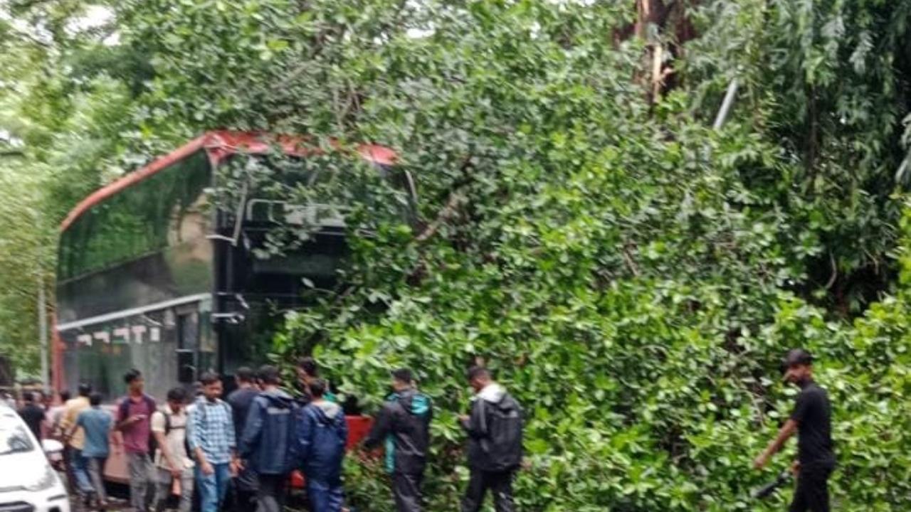 The bus was sent to CSMT after the tree branches were removed (Photo/Ranjan)
 
