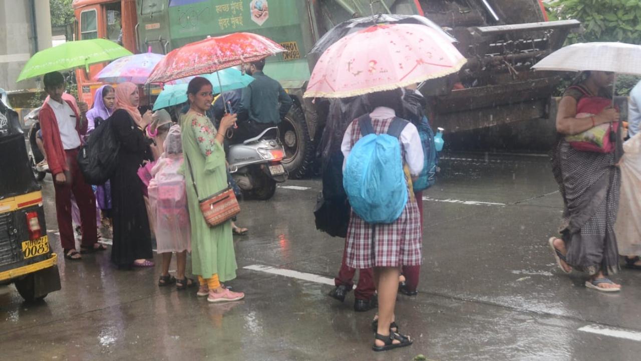 Due to heavy  rainfall and water logging in various parts of the city, Mumbai reported over 100 per cent increase in leptospirosis cases within a week