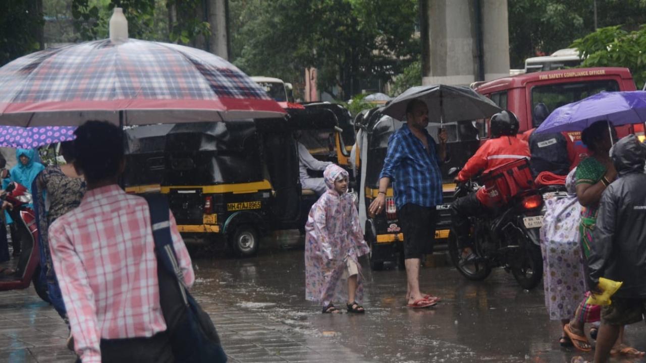 According to the BMC monsoon-illness release, a comparison of the current week to the last week (i.e. 9-16 July), shows that only leptospirosis cases are on the rise this week
 