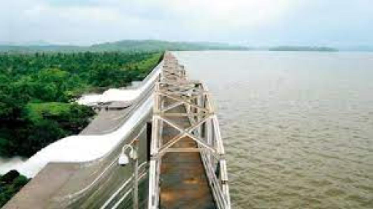 At Modak-Sagar, 91.49 per cent of water stock is available
 